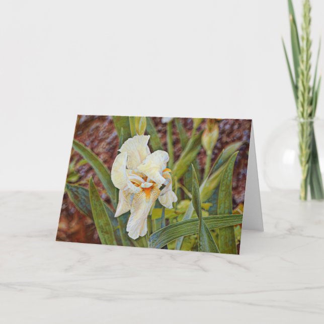 Vild Iris Flower Art Card Kort (Framsida)