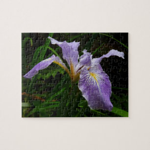 Vild Iris Flower Lila Blommigt Pussel