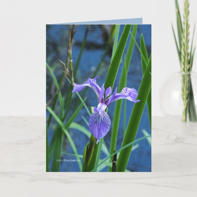 Vild Iris Kort (Framsida)