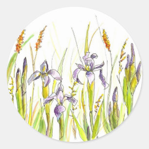 Vild Iris Lila Wildblomma Watercolor Sketch Runt Klistermärke