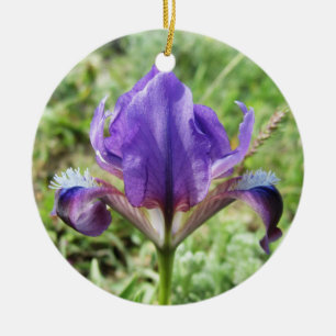 Vild Iris-ornament Julgransprydnad Keramik