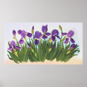 Vild Irises Poster