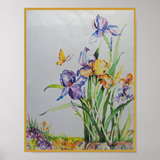 Vild Irises Small n Loely Poster