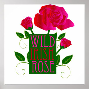 Vild Irish Ro Poster