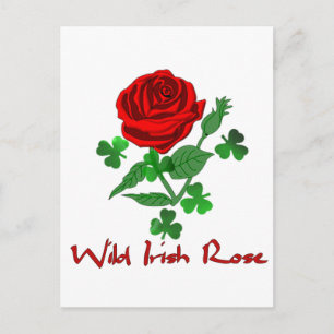 Vild Irish Ro Vykort