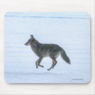 Vild Jackal Coyote Crossing Frozen Sjö på vinter Musmatta