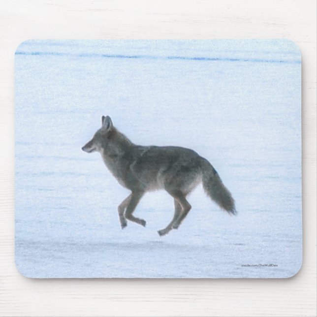 Vild Jackal Coyote Crossing Frozen Sjö på vinter Musmatta (Framsidan)