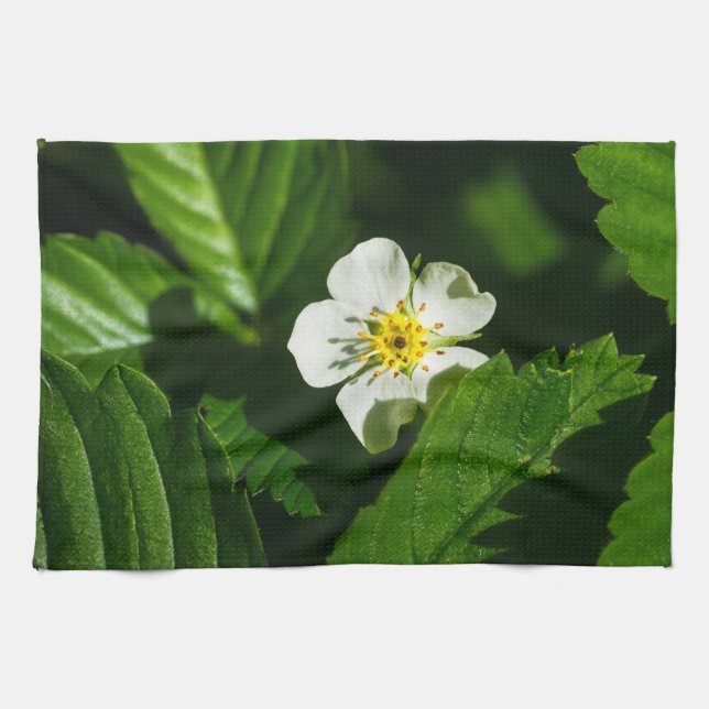 Vild Jordgubbsblomma Kökshandduk (Horisontell)
