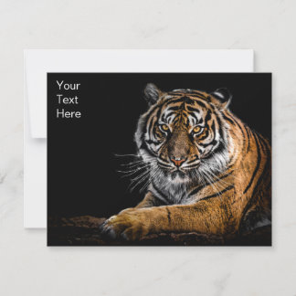 Vild Jungle Animal Tiger