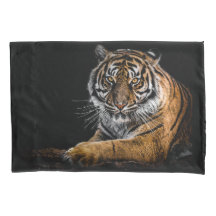 Vild Jungle Animal Tiger