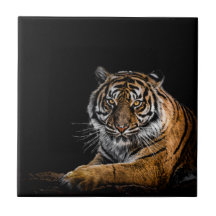 Vild Jungle Animal Tiger