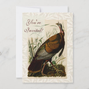 Vild kalkon Audubon Fågelmålning Inbjudningar