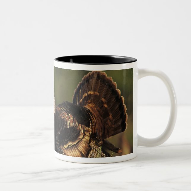 Vild kalkon, Meleagris gallopavo,hanar Två-Tonad Mugg (Höger)