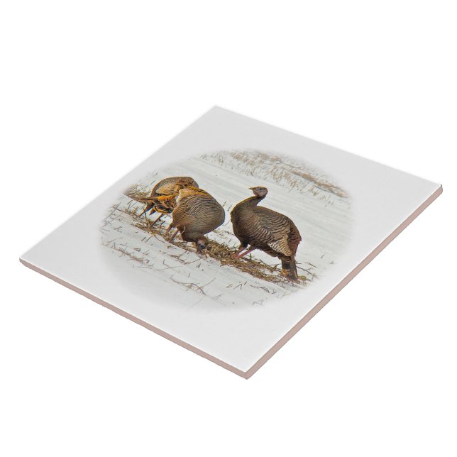 Vild-kalkoner i Snö Kakelplatta (Sidan)