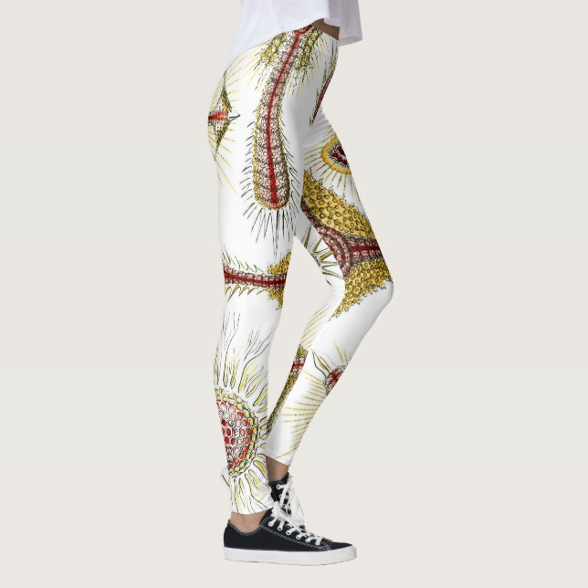 Vild Kamille av Ernst Haeckel, Vintage Natur Leggings (Höger)