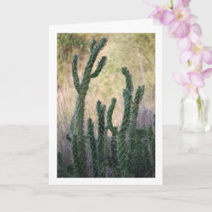 Vild Käpp Cactus Kort