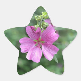 Vild Kärlek: för Australien Stjärnformat Klistermärke