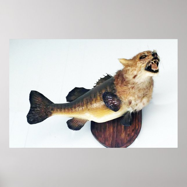 Vild katt CatFish Bass Funny Taxidermy Poster kons (Framsidan)
