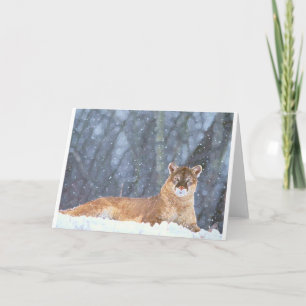 VILD KATT FREEDOM DESTINY ZAZZLE HELGKORT