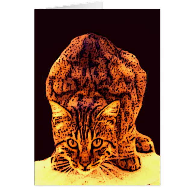 VILD KATT KITTEN HÄLSNINGSKORT (Framsidan)