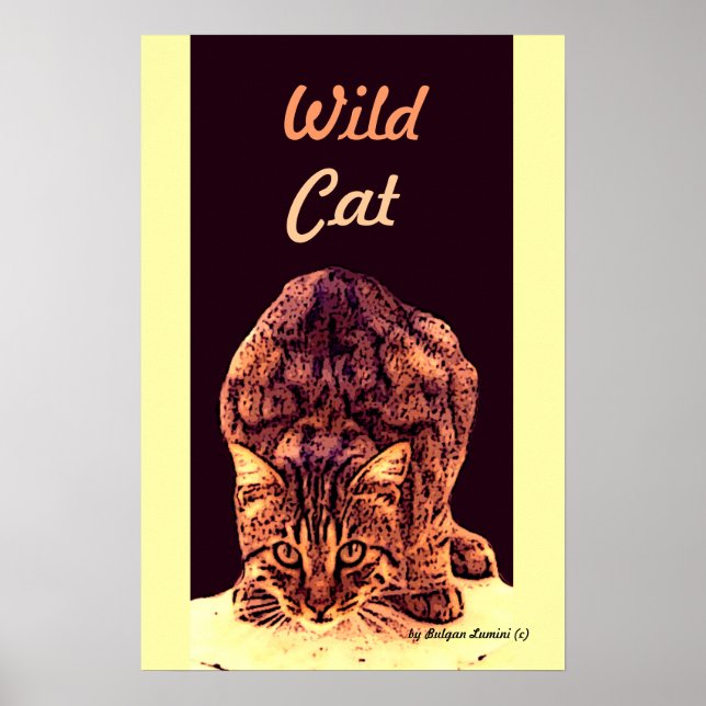 VILD KATT KITTEN POSTER (Framsidan)