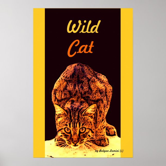VILD KATT KITTEN POSTER (Framsidan)