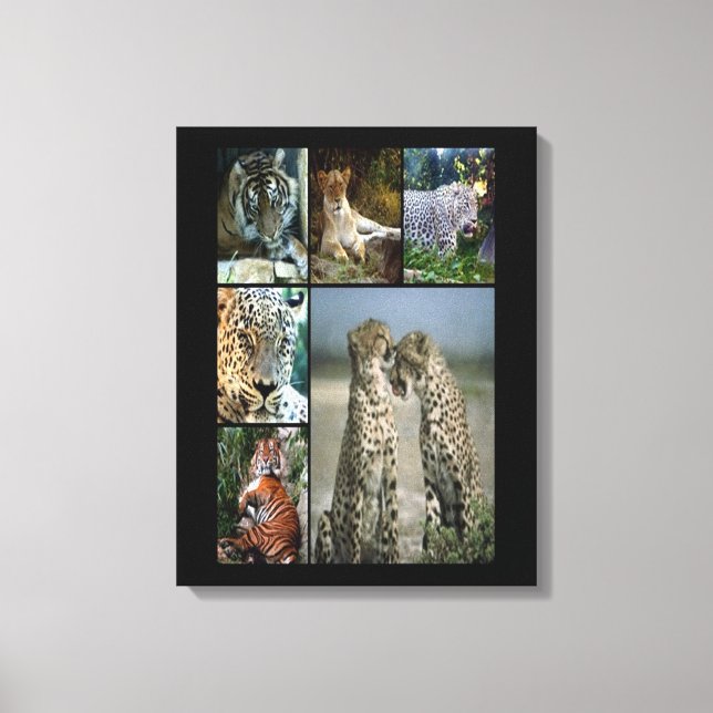 Vild katt kollage Wrapped Canvas (Framsida)