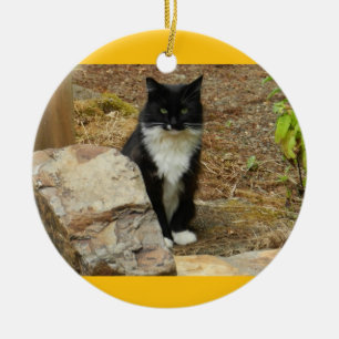 Vild katt Momma Julgransprydnad Keramik