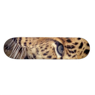 Vild katt old school skateboard bräda 18 cm