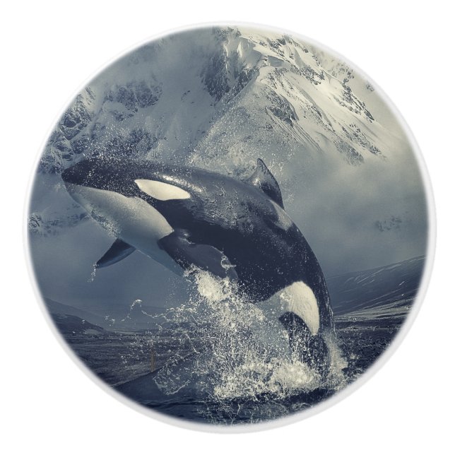 Vild Killer Whale Jumping Knopp (Framsidan)