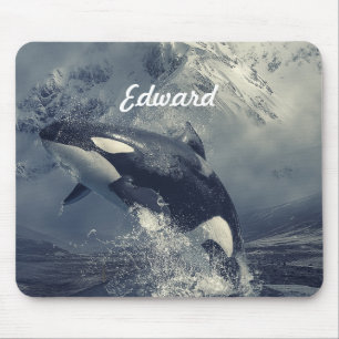 Vild Killer Whale Jumping Musmatta