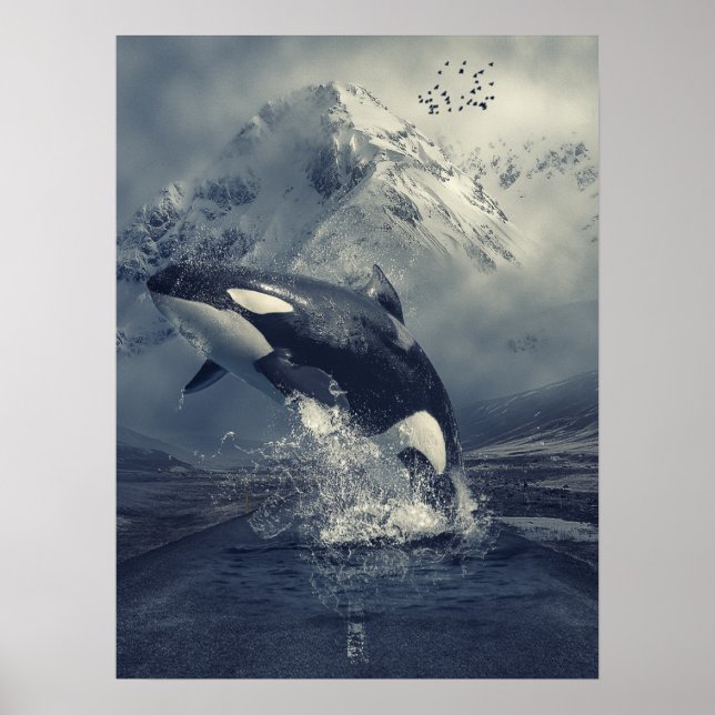 Vild Killer Whale Jumping Poster (Framsidan)