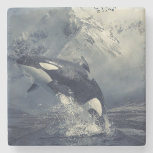 Vild Killer Whale Jumping Stenunderlägg