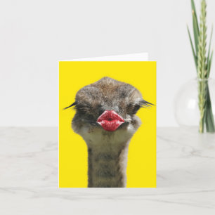 Vild Kisses - Ostrich - Skaffa ett bra hälsningsko Helgkort