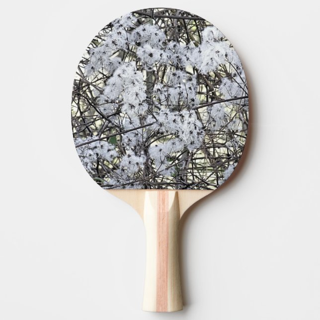 VILD KLEMATIS    PINGISRACKET (Framsidan)