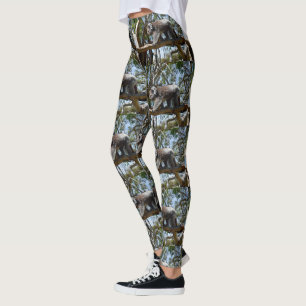 Vild Koala Bear Walking A Träd Gren Leggings