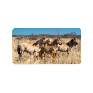 Vild Konik ponies Wicken Fen Cambridgeshire UK Adressetikett