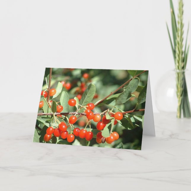 Vild körsbär 1 kort (Framsida)