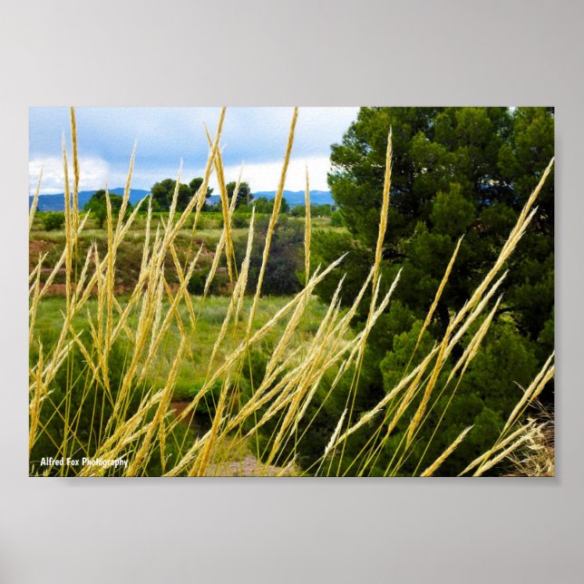 Vild landsbygdgräs poster (Framsidan)