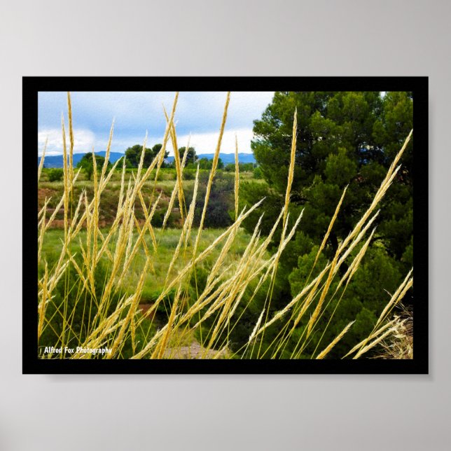 Vild landsbygdgräs poster (Framsidan)
