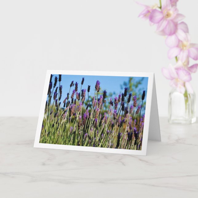 Vild Lavender Blå himmel Porträtt Kort (Orkide)