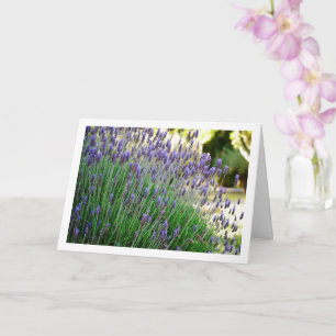 Vild Lavender Porträtt Kort