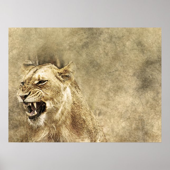 Vild Lejon Safari Jungle Artwork Photo Poster (Framsidan)