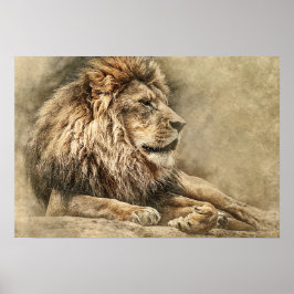 Vild Lejon Safari Jungle Artwork Photo Poster
