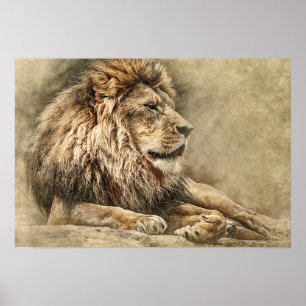 Vild Lejon Safari Jungle Artwork Photo Poster