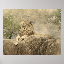 Vild Lejon Safari Jungle Artwork Photo Poster