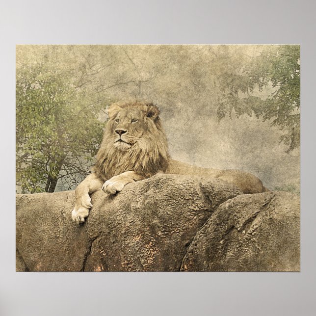 Vild Lejon Safari Jungle Artwork Photo Poster (Framsidan)
