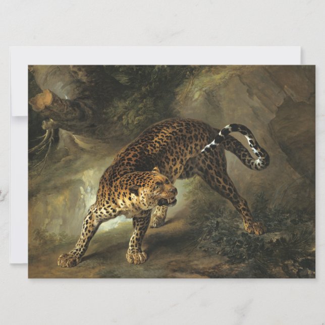 Vild Leopard (av Jean-Baptiste Oudry) Kort (Framsida)