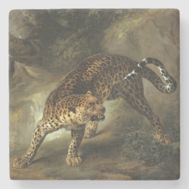 Vild Leopard (av Jean-Baptiste Oudry) Stenunderlägg