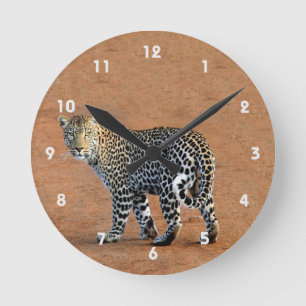 Vild Leopard i Afrika Rund Klocka